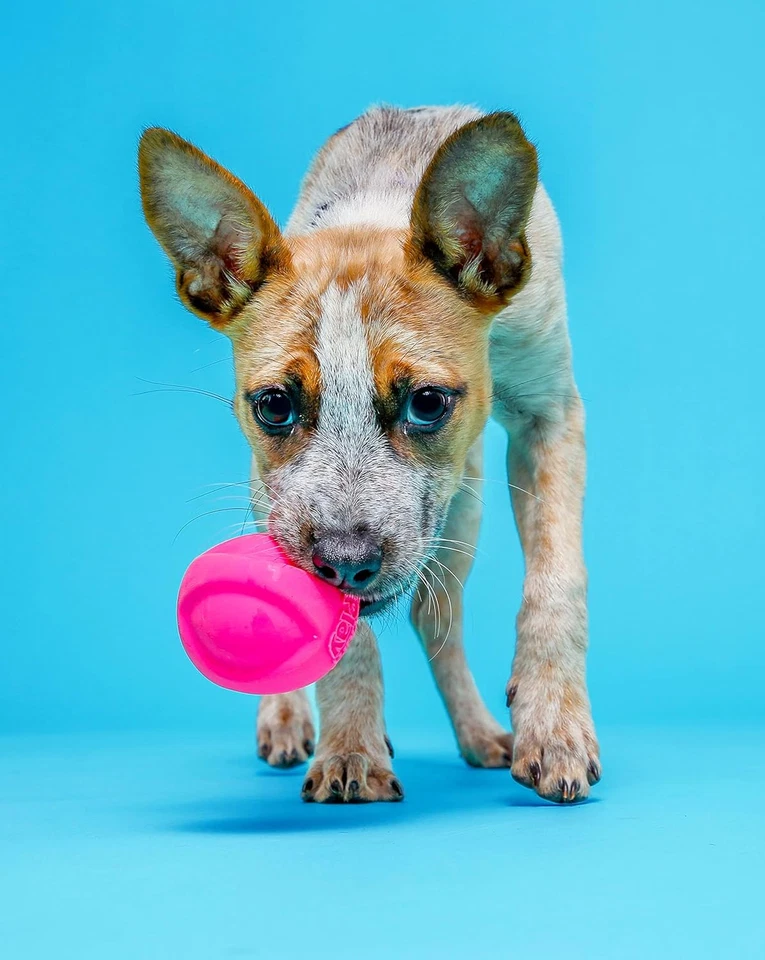 Duraplay Ball Squeaky Latex Dog Toy, Medium 3 Pack - Image 4 of 4