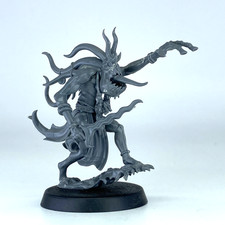 Changecaster - Disciples of Tzeentch - Warhammer Age of Sigmar GW X8048
