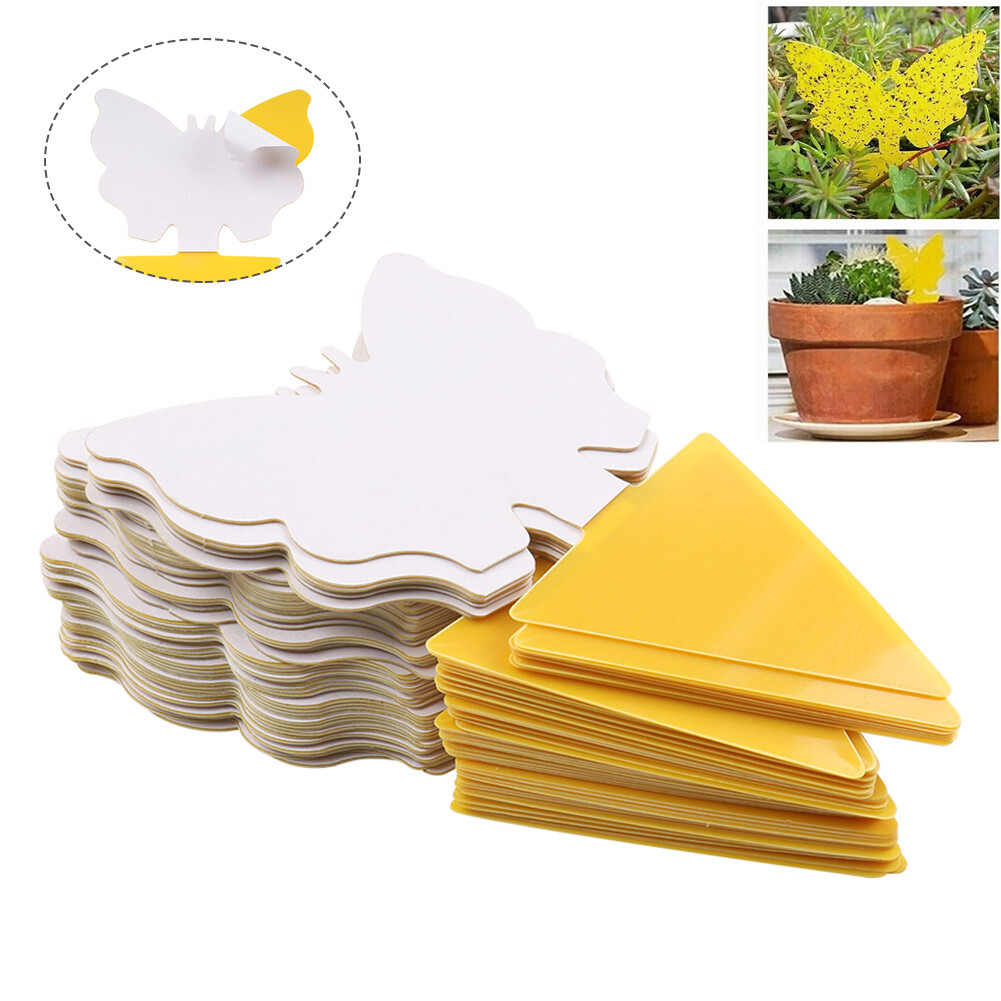 Fungus Gnat Killer Trap use for Indoor Outdoor 50pcs Sticky Fruit Fly Traps  | eBay