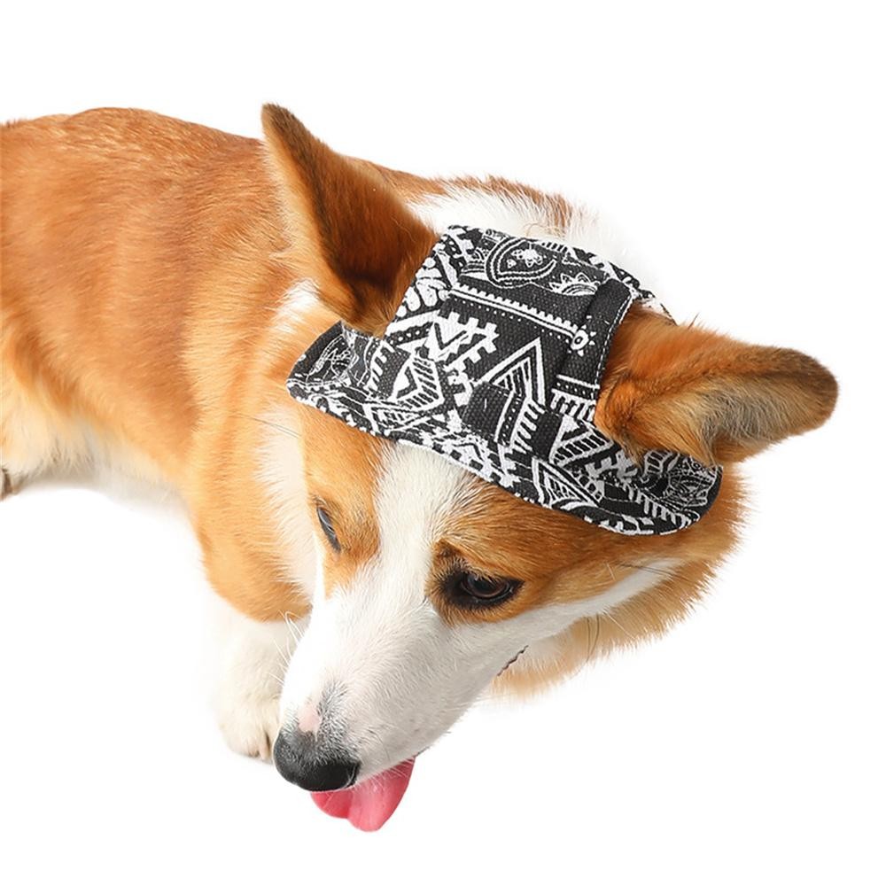 Cappello in tela per cani stampa carino regolabile berretto per animali domestici piccolo medio accessori per cuccioli foto 6