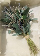 Hand Picked Dried British Lavender/ Fresh Eucalyptus Bunch. 50 Stems.