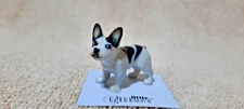 LITTLE CRITTERZ Dog French Bulldog "Maximus" Miniature Figurine New LC991