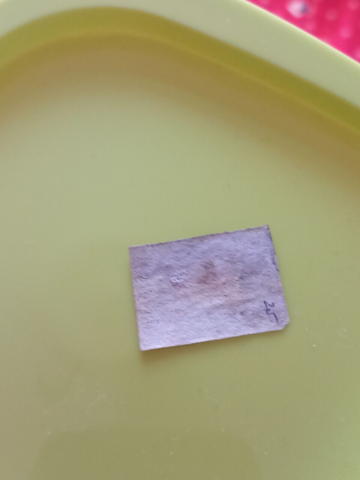 Picture 5 of 6