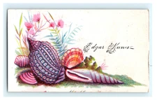 Edgar Kunes Colorful Seashell Sea Floral  Sample Calling Card IL - Damaged