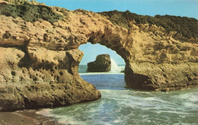 #ad Postcard CA Santa Cruz Swanton Beach State Park Natural Bridges State Beach $5.49