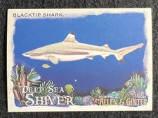 2021 Topps Allen & Ginter - Deep Sea Shiver - DSS-8 - Blacktip Shark - Insert