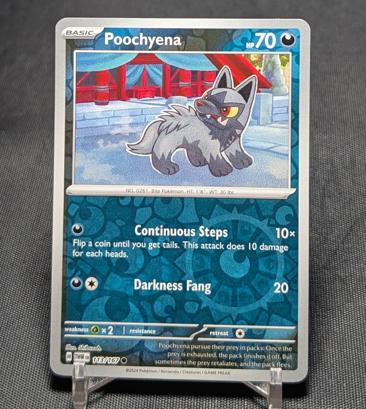Poochyena Common Reverse Holo SV06: Twilight Masquerade Pokemon TCG Card 113/167