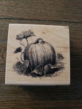 Pumpkin by Inkadinkado Rubber Stamp