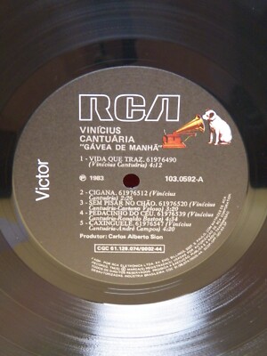 洋楽 Vinicius Cantuaria/Gavea de manha 12