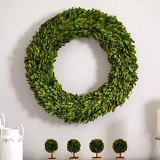 24” Real Boxwood Natural Wreath (Preserved) Wall Door Home Decor. Retail $149
