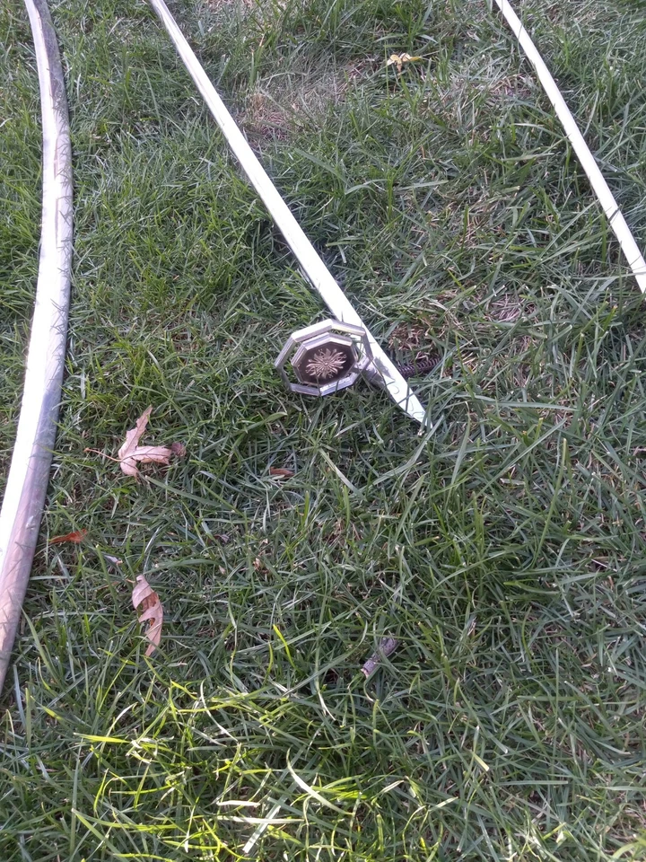 Pontiac Bonneville 1981 parachoques delantero trasero relleno capó moldura vinilo adorno Foto 4 de 4