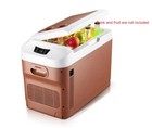 Portable Mini Fridge DC 12/24V Car Refrigerator For Car and 220V For Home 20L