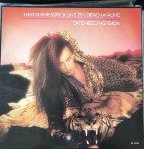 Dead Or Alive That S The Way I Like It Australia 12 Used Pete Burns 19 Kroq Ebay