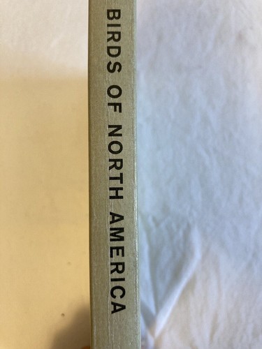 Birds of North America A Guide to Field Identification A Golden Field Guide Book - Picture 2 of 10