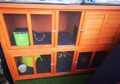 Bluebell Tiered 5ft Hutch Liners UK