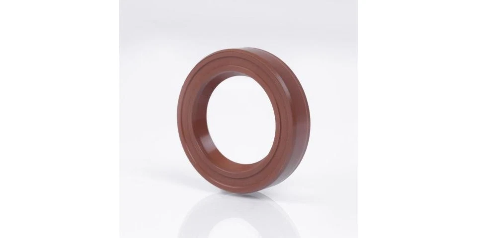 DICHTOMATIK Wellendichtring W25-50-10 VIT 25 mm Außen-Ø 50 mm Breite 10 mm