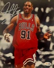 Dennis Rodman Signed METALLIC Photo 8x10  NWO Bulls Worm Autograph HOF JSA HOGAN