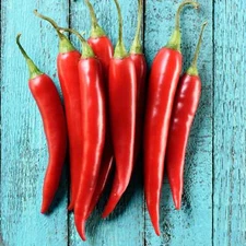 Cayenne Pepper - Seeds - Organic - Non Gmo - Heirloom Seeds – Vegetable Seeds 
