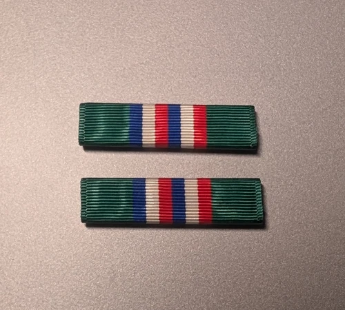CORRECT SIZE Moiré - TXSG Basic Orientation BOT Ribbon - Made in USA-Set of 2