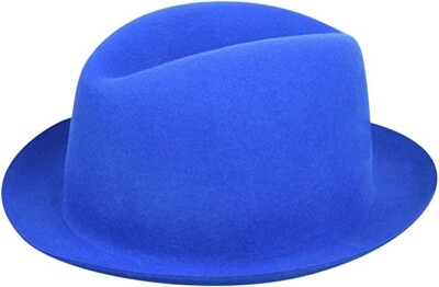 BAILEY OF HOLLYWOOD HAT, SIZE LARGE, (ID#H-20) | eBay