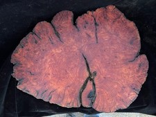 Red Burl Wood Live Edge Slab Rustic Natural Burl Wall Art Table Top Blank
