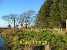 Photo 6x4 Obsolete deer-proof fencing Sorn Trees well grown and gate open c2007