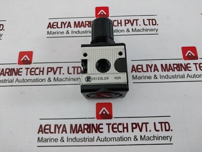 Riegler 404 Druckregler 0.5-10 BAR 7-145 PSI