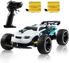 litehawk nomad rc buggy