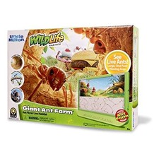 Uncle Milton Giant Ant Farm - Large Viewing Area - Care for Live Ants - Nature L