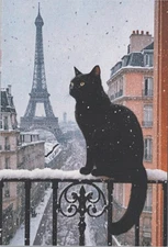 Snowy Paris Black Cat and Eiffel Tower 4x6 Image Card Blank Back
