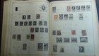 Bild 7 von 24