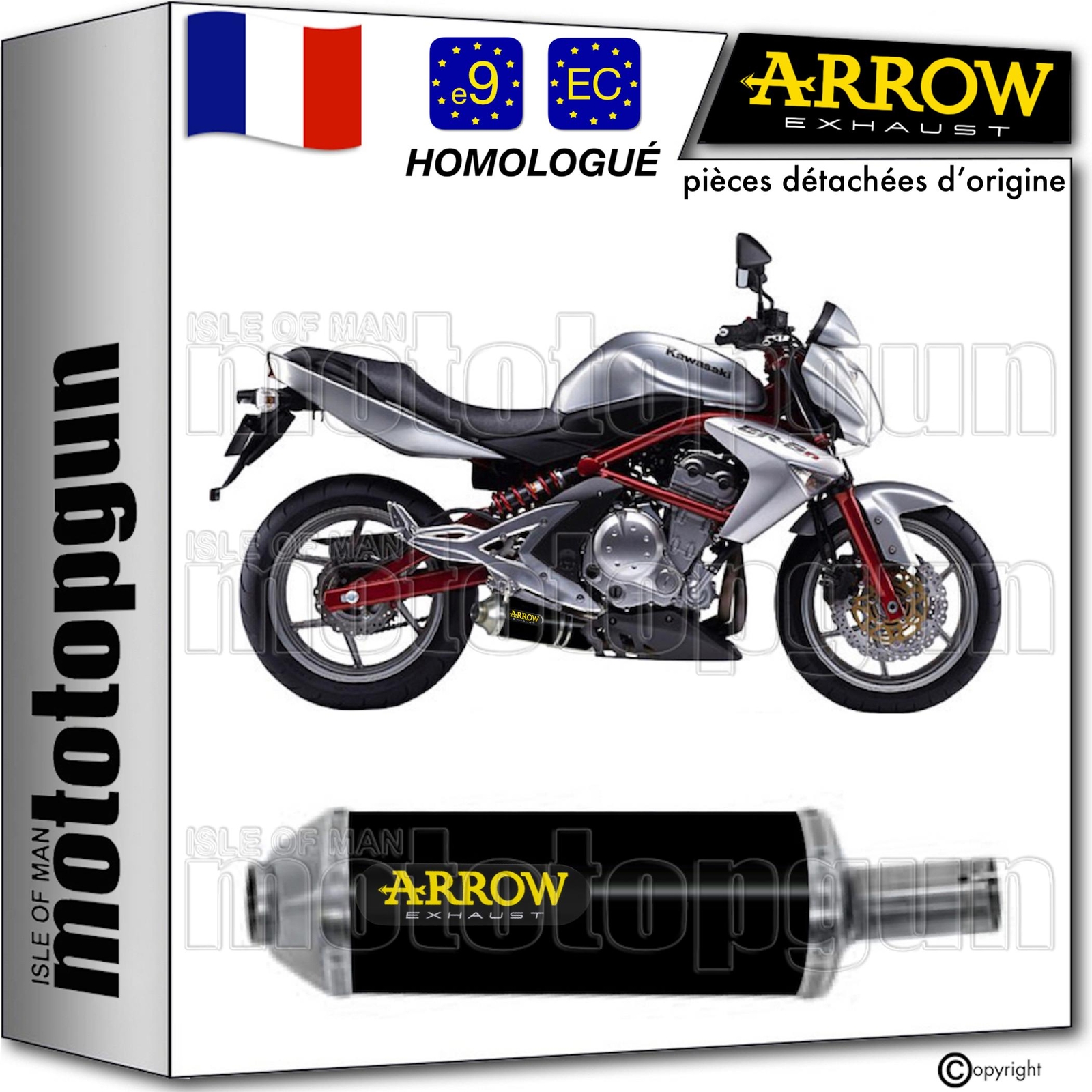 Échappement Arrow Maxi Race-Tech noir haut de gamme pour Kawasaki ER6N 2005