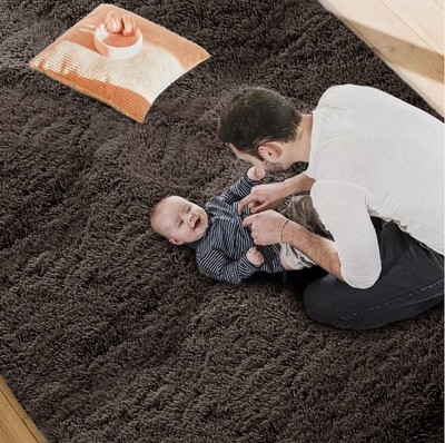 HOMORE Luxury Fluffy Area Rugs Modern Shag Rugs in Assorted Sizes Select Colors