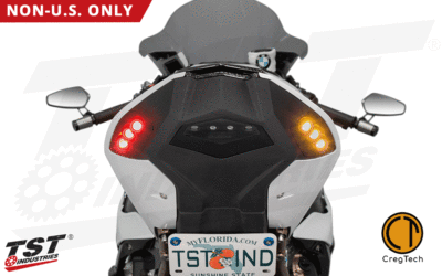 BMW S1000RR Integrated tail light BLUE Ring TST Industries