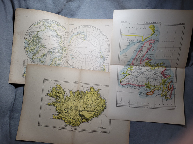 Antique MAPS - Polar Regions, Iceland, Newfoundland - 1892 Encyclopaedia