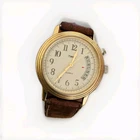 Timex   Perpetual Calendar watch ,Hard To Find.