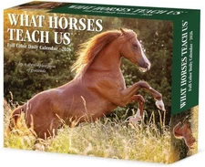 Willow Creek Press, What Horses Teach Us 2026 Desk Calendar Free Shipping USA
