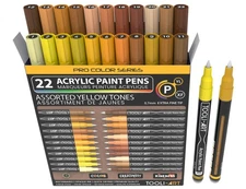 Acrylic Paint Pens 22 Yellow & Brown Tones Assorted Pro Color Series Markers ...