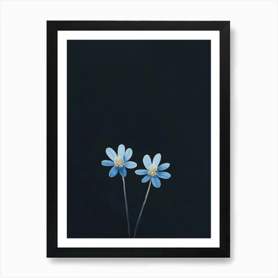 Zwei blaue Blumen auf schwarzem Hintergrund gerahmtes Wandbild Poster Leinwanddruck Bild