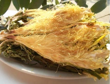 (1LB-2LB) Dried Hylocereus Undatus Flower (Dragon Fruit) - Fast/Free Shipping!