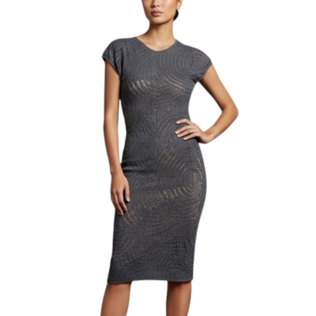 chinese dress ladies Dove Grey Lace Dress – Olvi's Lace main image 0