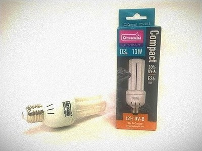 Arcadia 13 watt Compact UVB bulb  vitamin D3 in Reptiles like Bearded Dragons