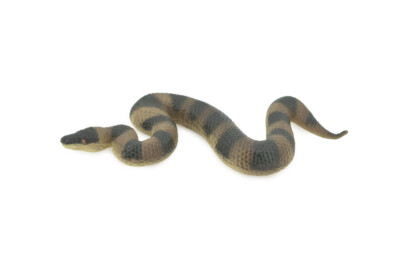 Toy Snake, Puff Adder, Rubber, Realistic Figure, Model,  Gift, 5'' CH526 BB158