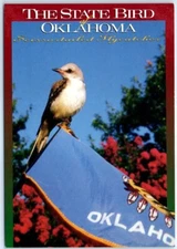 Postcard - The Scissortailed Flycatcher - The State Bird of Oklahoma