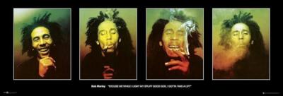 Bob Marley Poster, Excuse Me While I Light My Spliff 12x36 Legend Art Music Icon