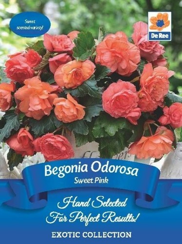 Avena Fiocchi PIU' CEREALI BIO 500 G - Coop Shop