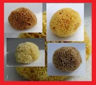 Natural sponge sea GREECE you choose = unbleached --- yellow bleached