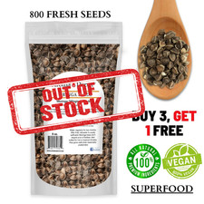 Moringa Seeds 8 oz. Wingless 800 Semilla de Moringa Oleifera Pepa Malunggay Bulk
