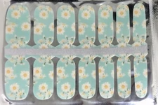 Color Nail Polish Strips 14ct.  NL55    READ DESCRIPTION BELOW