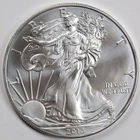 2013 American Silver Eagle (BU) in a Capsule - PRISTINE & AUTHENTIC!